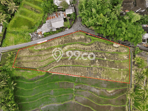 Kavling Tanah Dijual di Pakem, Sleman, Luas 2790m2 Area Strategis Kavling Tanah Dijual di Pakem, Sleman, Luas 2790m2 Area Strategis