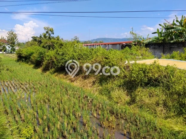 Lahan untuk Dijual Lokasi Pundong, Bantul Luas 2210m2 SHM Lahan untuk Dijual Lokasi Pundong, Bantul Luas 2210m2 SHM