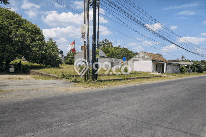 Jarang Ada! Tanah di Kalasan Punya Luas 1762m2 SHM Jarang Ada! Tanah di Kalasan Punya Luas 1762m2 SHM
