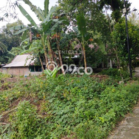 Tanah di Kasihan, Bantul Luas 450m2 Dijual Segera Tanah di Kasihan, Bantul Luas 450m2 Dijual Segera