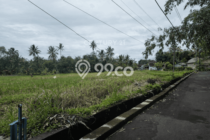 Kavling Tanah Dijual di Pakem, Sleman, Luas 2790m2 Area Strategis Kavling Tanah Dijual di Pakem, Sleman, Luas 2790m2 Area Strategis