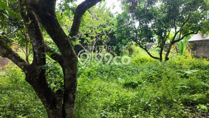 Lahan Strategis di Ngaglik Dijual dengan Luas 742m2 Lahan Strategis di Ngaglik Dijual dengan Luas 742m2