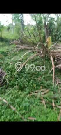 Tanah di Parung Kuda, Sukabumi Luas 15000m2 Dijual Segera Tanah di Parung Kuda, Sukabumi Luas 15000m2 Dijual Segera