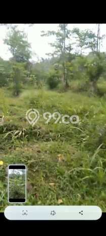 Tanah di Parung Kuda, Sukabumi Luas 15000m2 Dijual Segera Tanah di Parung Kuda, Sukabumi Luas 15000m2 Dijual Segera