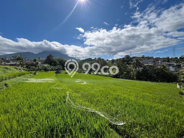 Tanah Siap Bangun Dijual di Bandung Punya Luas 6732m2 Tanah Siap Bangun Dijual di Bandung Punya Luas 6732m2