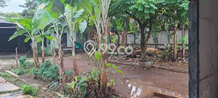 Tanah Kavling untuk Dijual di Kramat Jati Jakarta Timur 550m2 Tanah Kavling untuk Dijual di Kramat Jati Jakarta Timur 550m2