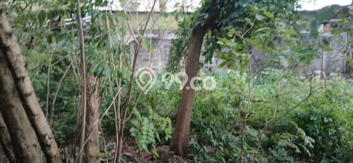 Dijual Tanah di Bandung, Luas 3000m2 SHM Dijual Tanah di Bandung, Luas 3000m2 SHM
