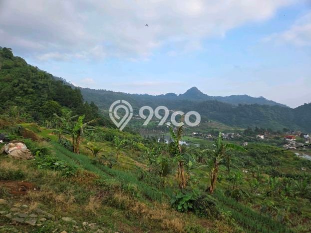 Tanah Kavling Dijual di Bogor dengan Spesifikasi 1000m2 Tanah Kavling Dijual di Bogor dengan Spesifikasi 1000m2