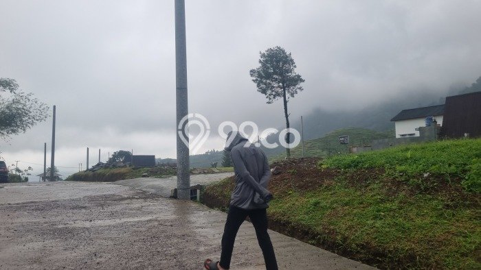 Tanah Kavling Dijual di Puncak, Bogor dengan Luas Tanah 240m2 Tanah Kavling Dijual di Puncak, Bogor dengan Luas Tanah 240m2