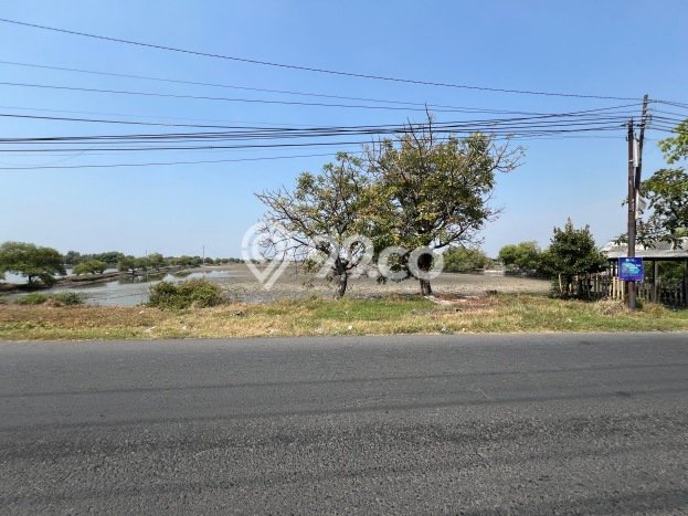 Lahan Investasi Lokasi Sedati Sidoarjo SHM Lahan Investasi Lokasi Sedati Sidoarjo SHM