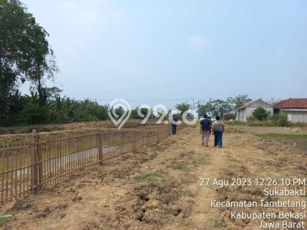 Tanah Kavling untuk Dijual di Tambelang Bekasi 17681m2 Tanah Kavling untuk Dijual di Tambelang Bekasi 17681m2