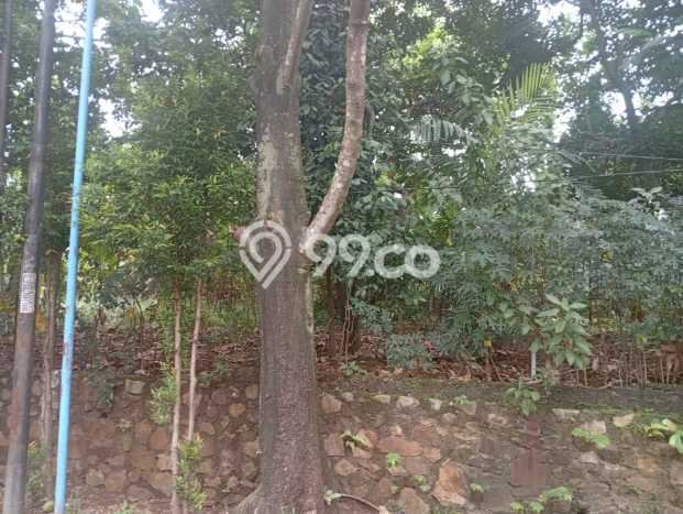 Tanah Siap Bangun Dijual di Bekasi Punya Luas 203m2 Tanah Siap Bangun Dijual di Bekasi Punya Luas 203m2