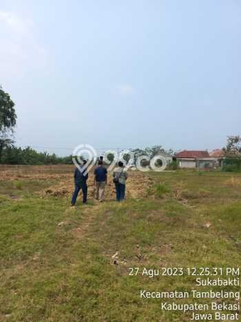 Tanah Kavling untuk Dijual di Tambelang Bekasi 17681m2 Tanah Kavling untuk Dijual di Tambelang Bekasi 17681m2