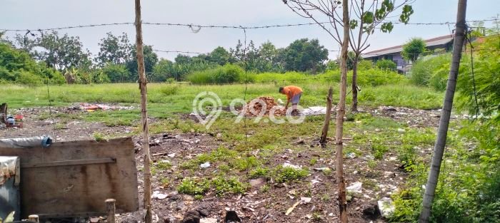Kavling Tanah Dijual di Sedati Sidoarjo Spesifikasi 5572m2 Kavling Tanah Dijual di Sedati Sidoarjo Spesifikasi 5572m2