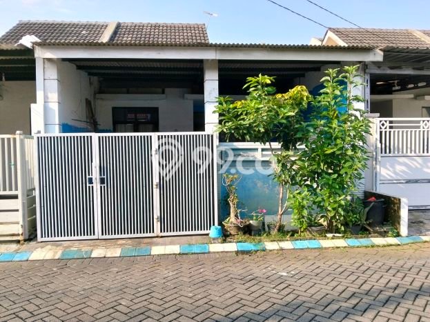 Jual Rumah Harga Miring Sidoarjo Punya 2 Kamar & LT 90m2 Jual Rumah Harga Miring Sidoarjo Punya 2 Kamar & LT 90m2