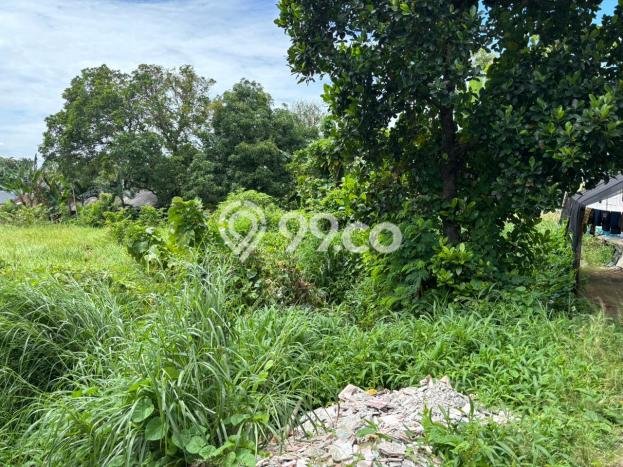Tanah Dijual Lokasi Menganti Gresik SHM Tanah Dijual Lokasi Menganti Gresik SHM