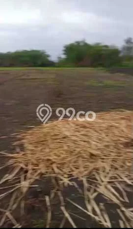 Untuk Dijual Tanah di Bojonegoro Bojonegoro Luas 12920m2 SHM Untuk Dijual Tanah di Bojonegoro Bojonegoro Luas 12920m2 SHM