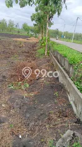 Untuk Dijual Tanah di Bojonegoro Bojonegoro Luas 12920m2 SHM Untuk Dijual Tanah di Bojonegoro Bojonegoro Luas 12920m2 SHM