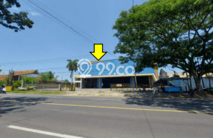 Gudang Dijual Lokasi Stratagis di Kabat Banyuwangi Cocok untuk Investasi Gudang Dijual Lokasi Stratagis di Kabat Banyuwangi Cocok untuk Investasi