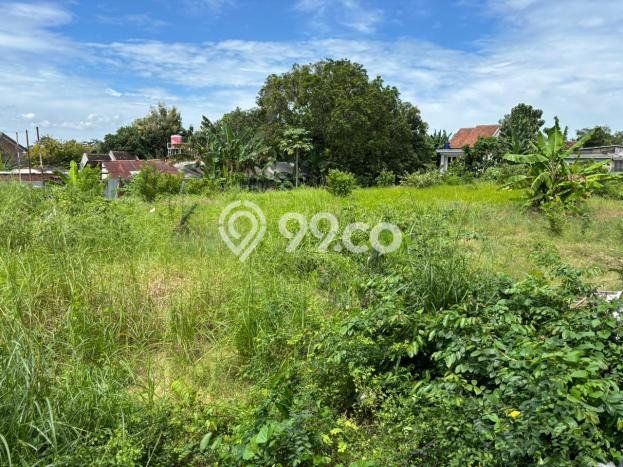 Tanah Dijual Lokasi Menganti Gresik SHM Tanah Dijual Lokasi Menganti Gresik SHM