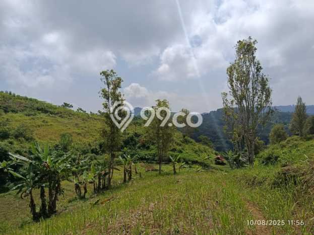 Lahan Investasi Lokasi Sukanagara Cianjur SHM Lahan Investasi Lokasi Sukanagara Cianjur SHM