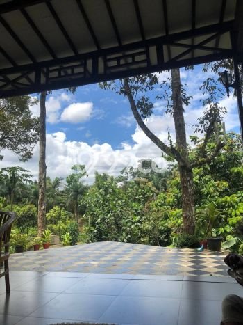 Dijual Cepat! Vila di Ciawi, Luas 1000m2m², Kawasan Berkembang dengan nilai naik Dijual Cepat! Vila di Ciawi, Luas 1000m2m², Kawasan Berkembang dengan nilai naik