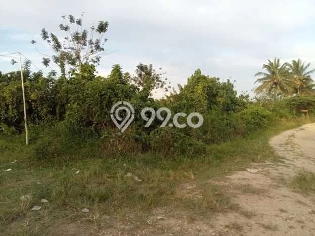 Kavling Tanah untuk Dijual di Bondoala Sampara, Konawe, Luas 36000m2 Kavling Tanah untuk Dijual di Bondoala Sampara, Konawe, Luas 36000m2