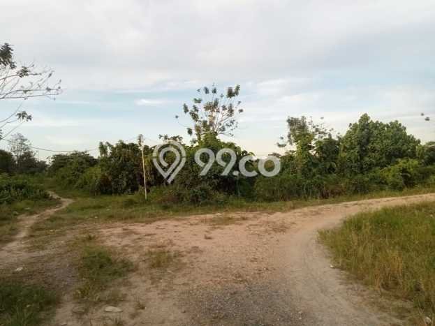 Kavling Tanah untuk Dijual di Bondoala Sampara, Konawe, Luas 36000m2 Kavling Tanah untuk Dijual di Bondoala Sampara, Konawe, Luas 36000m2