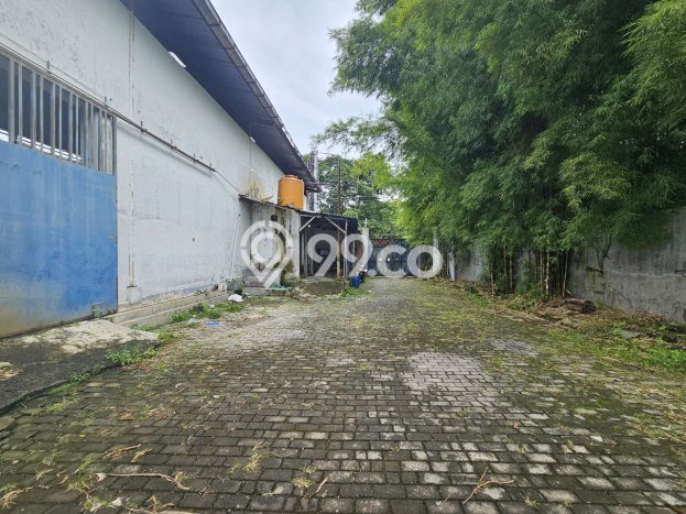 Gudang Disewakan Lokasi Pucang Sawit Solo Harga Spesial! Gudang Disewakan Lokasi Pucang Sawit Solo Harga Spesial!