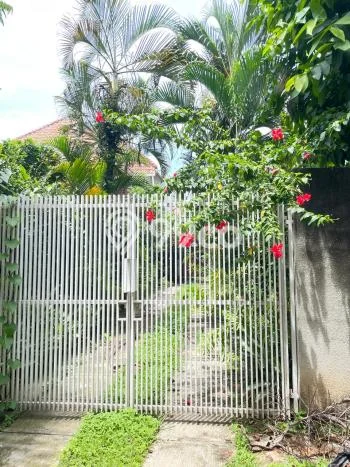 Disewakan Rumah Konsep Minimalis di Jagakarsa Jakarta Selatan dengan 3 Kamar Disewakan Rumah Konsep Minimalis di Jagakarsa Jakarta Selatan dengan 3 Kamar