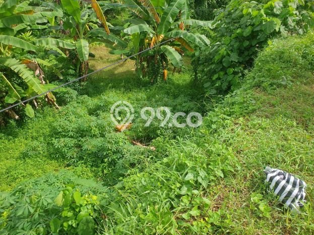 Tanah Investasi Dijual di Gianyar Punya Luas 12750m2 Tanah Investasi Dijual di Gianyar Punya Luas 12750m2