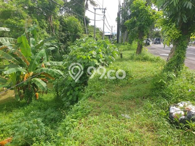 Tanah Investasi Dijual di Gianyar Punya Luas 12750m2 Tanah Investasi Dijual di Gianyar Punya Luas 12750m2