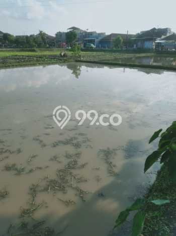 Tanah Kavling untuk Dijual di Cihideung Tasikmalaya 6700m2 Tanah Kavling untuk Dijual di Cihideung Tasikmalaya 6700m2