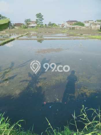 Tanah Kavling untuk Dijual di Cihideung Tasikmalaya 6700m2 Tanah Kavling untuk Dijual di Cihideung Tasikmalaya 6700m2