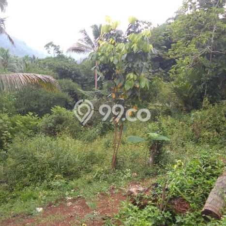 Tanah Kavling untuk Dijual di Salopa Tasikmalaya 76522m2 Tanah Kavling untuk Dijual di Salopa Tasikmalaya 76522m2