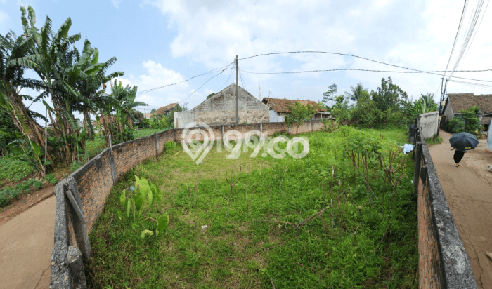 Dijual Tanah di Kemang Bogor Luas 750m2 SHM Dijual Tanah di Kemang Bogor Luas 750m2 SHM