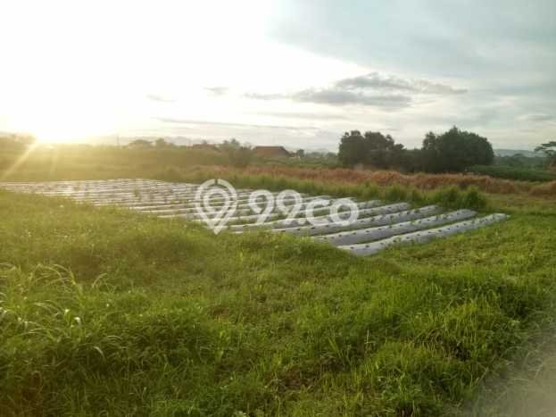 Tanah di Ranca Bungur, Bogor Luas 3000m2 Dijual Segera Tanah di Ranca Bungur, Bogor Luas 3000m2 Dijual Segera