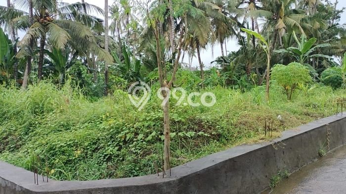 Dijual Tanah Lokasi Saba, Gianyar Seluas 1240m2 Dijual Tanah Lokasi Saba, Gianyar Seluas 1240m2