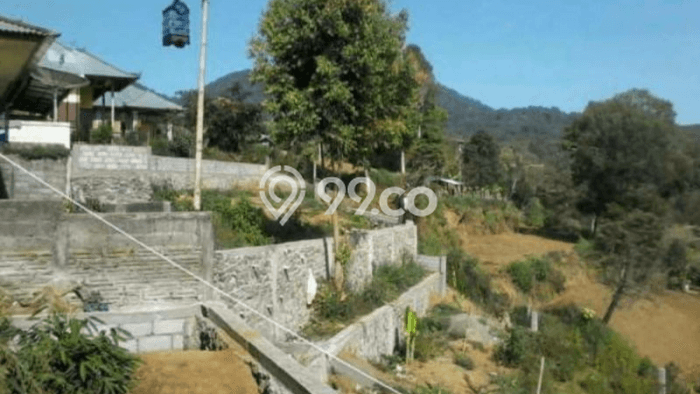 Kavling Tanah Dijual di Baturiti Tabanan Spesifikasi 830m2 Kavling Tanah Dijual di Baturiti Tabanan Spesifikasi 830m2