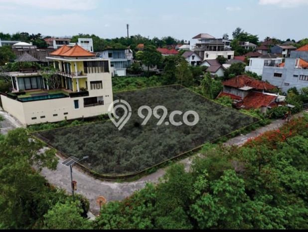 Tanah Investasi Dijual di Badung Punya Luas 1320m2 Tanah Investasi Dijual di Badung Punya Luas 1320m2