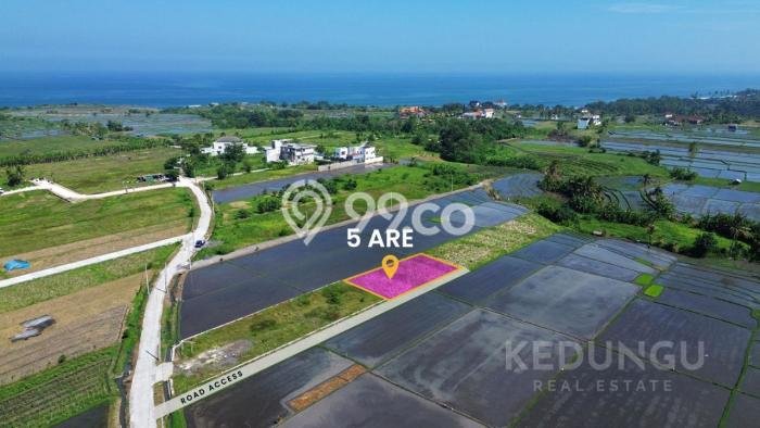 Tanah Dijual Lokasi Strategis di Tabanan dengan Luas 500m2 Tanah Dijual Lokasi Strategis di Tabanan dengan Luas 500m2