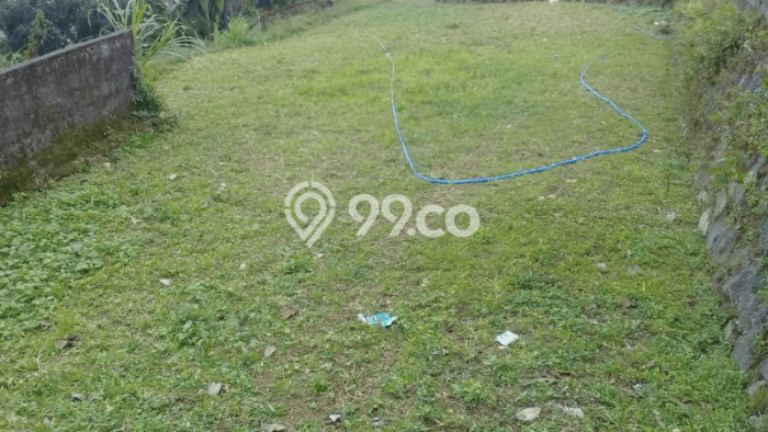 Kavling Tanah Dijual di Baturiti Tabanan Spesifikasi 830m2 Kavling Tanah Dijual di Baturiti Tabanan Spesifikasi 830m2