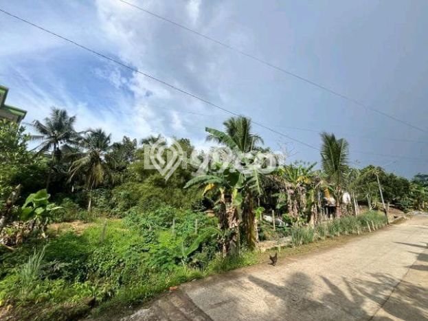 Tanah untuk Dijual Lokasi Palaran, Samarinda Luas 2000m2 SHM Tanah untuk Dijual Lokasi Palaran, Samarinda Luas 2000m2 SHM