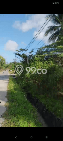 Tanah Dijual Lokasi Penajam Penajam Paser Utara SHM Tanah Dijual Lokasi Penajam Penajam Paser Utara SHM