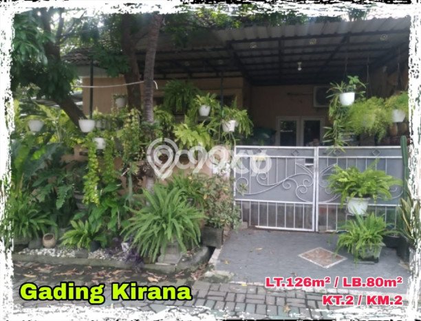 Jual Rumah Minimalis Bagus Punya 2 KT di Buduran Sidoarjo SHM Jual Rumah Minimalis Bagus Punya 2 KT di Buduran Sidoarjo SHM