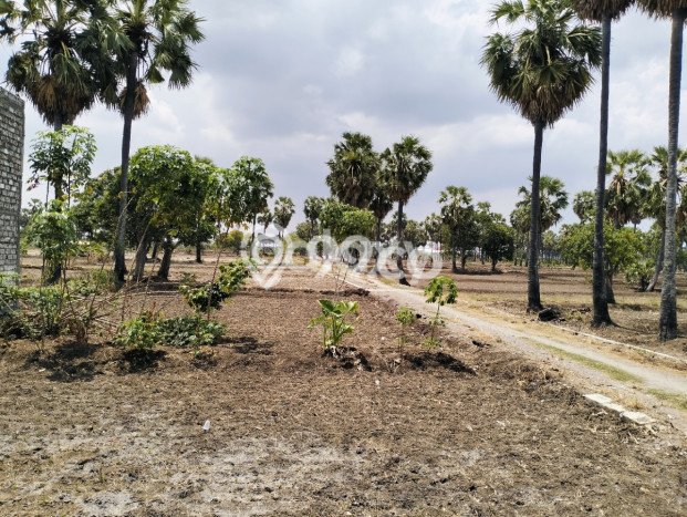 Tanah di Pakal, Surabaya Luas 60m2 Dijual Segera Tanah di Pakal, Surabaya Luas 60m2 Dijual Segera