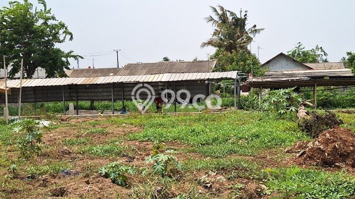 Lahan Disewakan di Babelan, Bekasi, Luas 1285m2 SHM Lahan Disewakan di Babelan, Bekasi, Luas 1285m2 SHM
