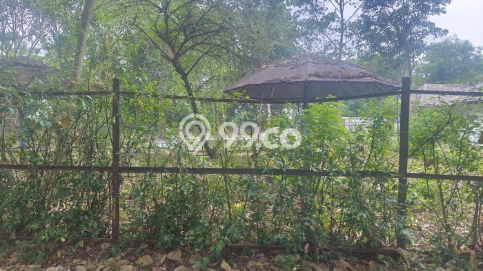 Tanah Kavling Dijual di Jakarta Selatan dengan Spesifikasi 15331m2 Tanah Kavling Dijual di Jakarta Selatan dengan Spesifikasi 15331m2