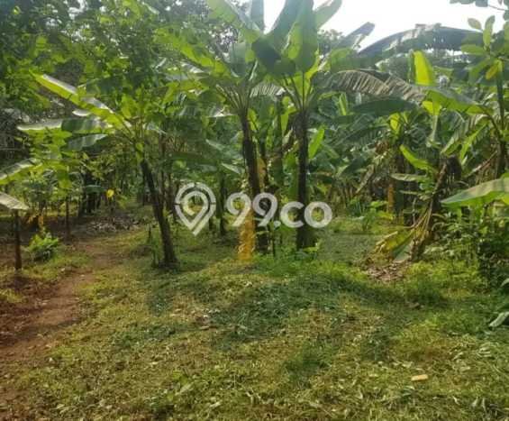Lahan untuk Dijual Lokasi Tangerang, Tangerang Luas 12000m2 SHM Lahan untuk Dijual Lokasi Tangerang, Tangerang Luas 12000m2 SHM