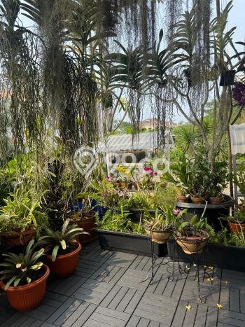 Jual Rumah Mewah Elegan Dengan View Cantik di Pantai Indah Kapuk, Jakarta Utara Jual Rumah Mewah Elegan Dengan View Cantik di Pantai Indah Kapuk, Jakarta Utara
